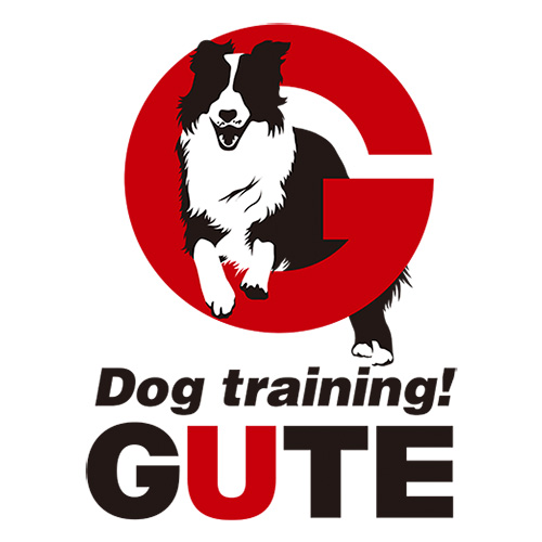 Dog Training GUTE