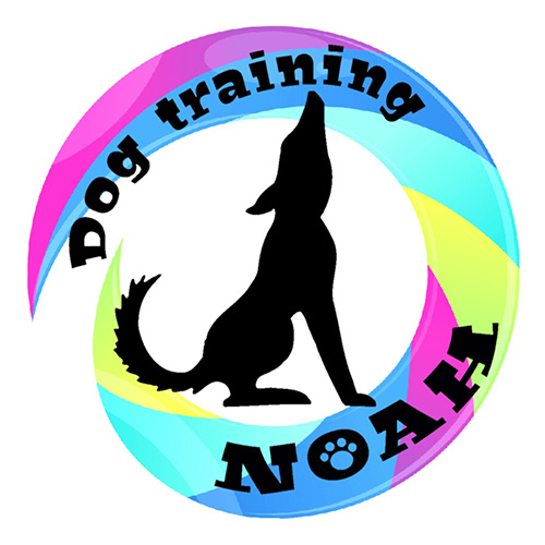 Dog training NOAH