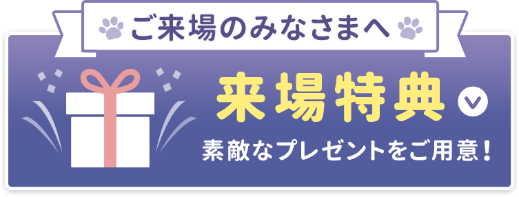 来場特典▼
